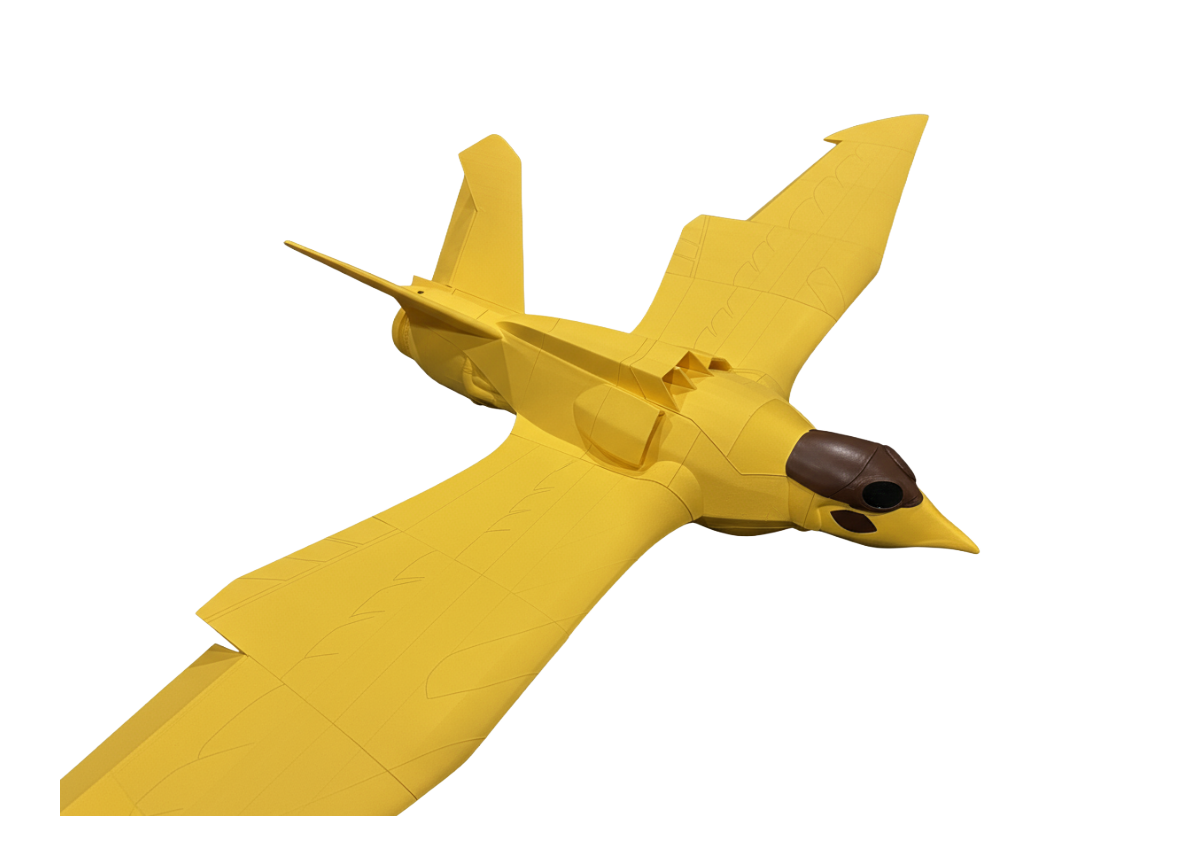 KMi3DPrint - 3D RC Aircraft Models